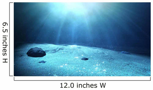 Underwater Sea Floor Wall Mural