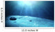 Underwater Sea Floor Wall Mural