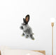 gray rabbit Wall Decal