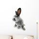 gray rabbit Wall Decal