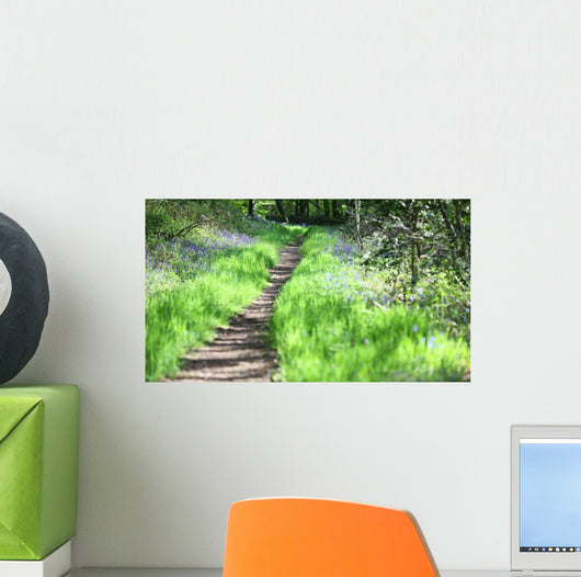 chemin de promenade Wall Mural