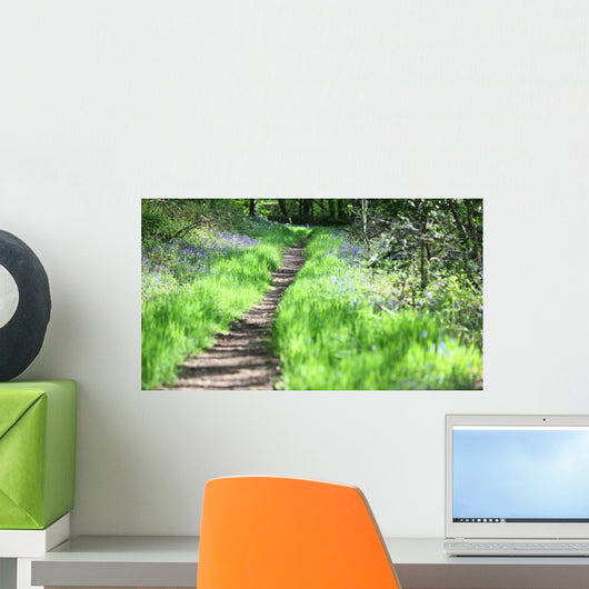 chemin de promenade Wall Mural