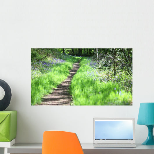chemin de promenade Wall Mural