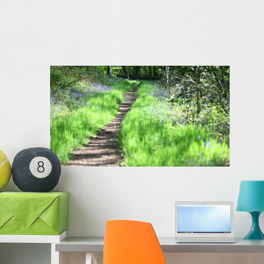 chemin de promenade Wall Mural
