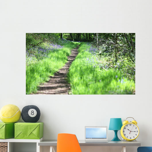 chemin de promenade Wall Mural