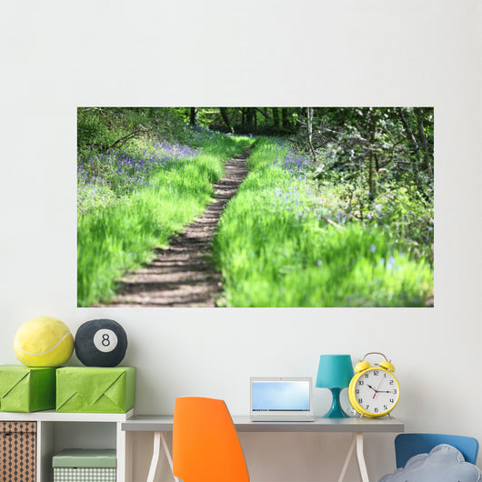 chemin de promenade Wall Mural
