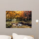 Thailand Waterfall Autumn Wall Mural