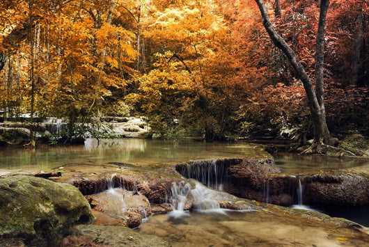 Thailand Waterfall Autumn Wall Decal