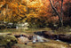 Thailand Waterfall Autumn Wall Decal