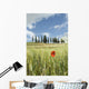 Spring Wall Mural