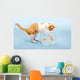 Katze fischt in Goldfischglas Wall Mural