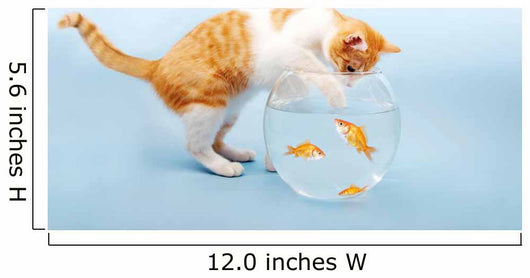 Katze fischt in Goldfischglas Wall Mural