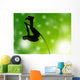 Sport - Pole Vault Wall Mural