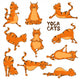 Yoga Cats Wall Decal