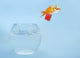 Goldfisch Springt Aus Glas Wall Decal