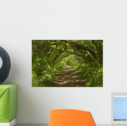Forest Trail Wall Decal