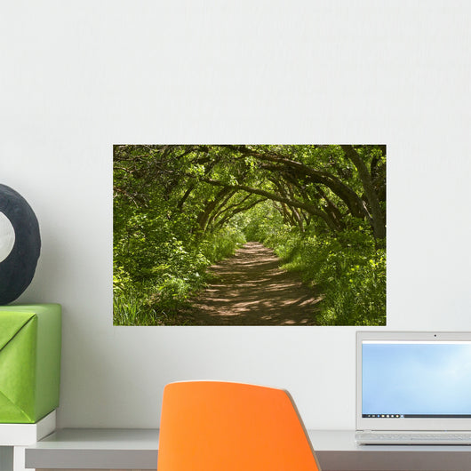 Forest Trail Wall Decal