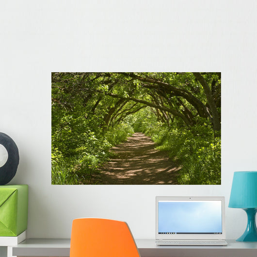 Forest Trail Wall Decal