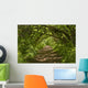 Forest Trail Wall Decal