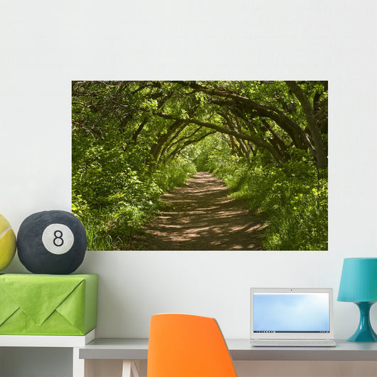 Forest Trail Wall Decal