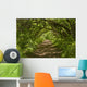 Forest Trail Wall Decal