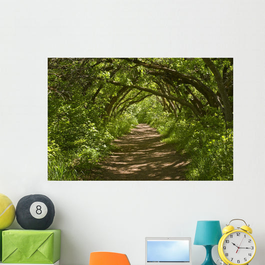 Forest Trail Wall Decal