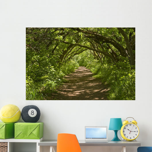 Forest Trail Wall Decal