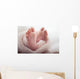 Newborn baby Feet Wall Mural