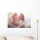 Newborn baby Feet Wall Mural
