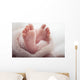 Newborn baby Feet Wall Mural