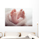 Newborn baby Feet Wall Mural