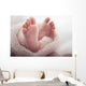 Newborn baby Feet Wall Mural