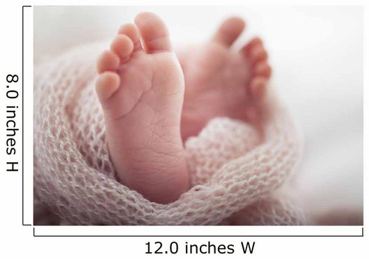 Newborn baby Feet Wall Mural