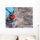 Sport equipment. Sneakers, dumbells, measuring tape Wall Mural