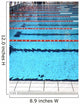 swimming pool with blue water and the swimming lanes Wall Mural
