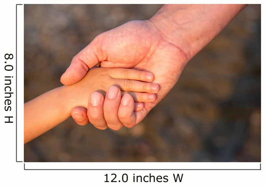 Father's hand lead his child son in summer forest nature  Wall Mural