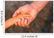 Father's hand lead his child son in summer forest nature  Wall Mural