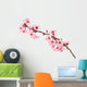 Cherry Blossoms Wall Decal