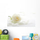White rose with petals close-up Wall Mural