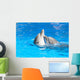 Kissing dolphins Wall Mural