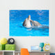 Kissing dolphins Wall Mural