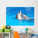 Kissing dolphins Wall Mural