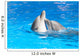 Kissing dolphins Wall Mural
