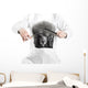 Poodle Grooming in Barber Shop Wall Decal