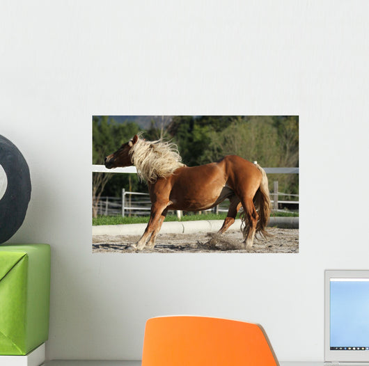 Dynamic Breaking Horse Wall Mural