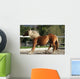 Dynamic Breaking Horse Wall Mural