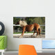 Dynamic Breaking Horse Wall Mural