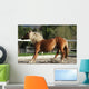 Dynamic Breaking Horse Wall Mural