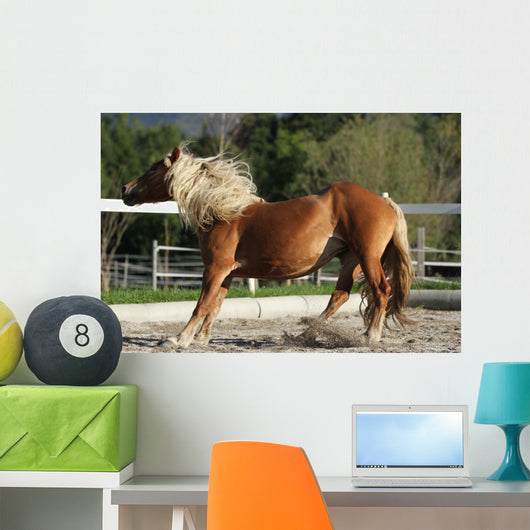 Dynamic Breaking Horse Wall Mural