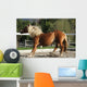 Dynamic Breaking Horse Wall Mural